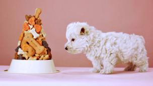 Chemically enhanced pet food