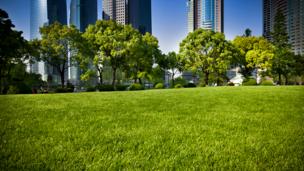 Green city