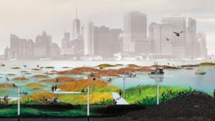 Living buildings for tomorrow’s cities