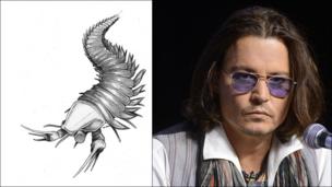Johnny Depp and fossil