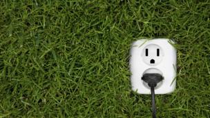 Plug in grassy wall