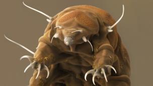 Extreme Earth's guide to alien life