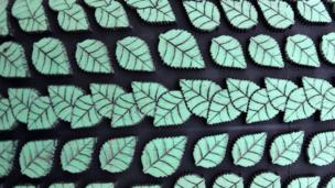 Artificial leaf hopes to power the world