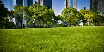 Green city