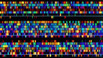 Will we ever… reveal all life’s secrets from DNA?
