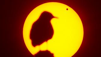 Sun silhouettes