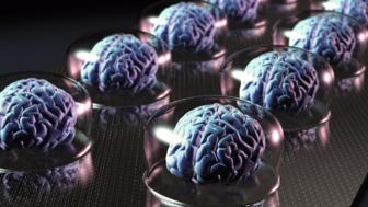 Will we ever… simulate the human brain?