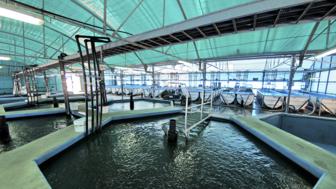 Indoor fisheries