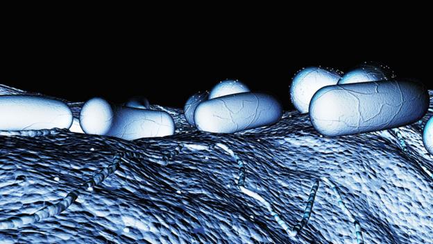 (Copyright: Science Photo Library)