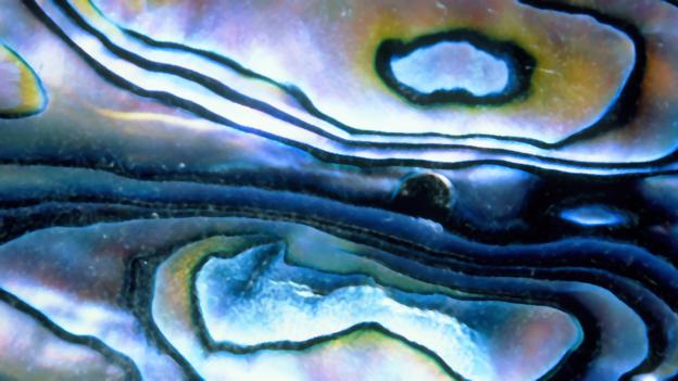 Nacre, mother of pearl