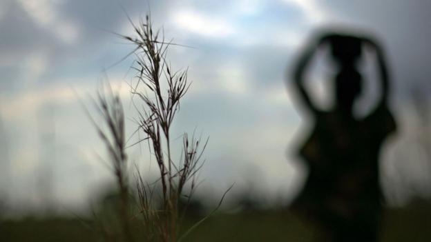 A Ugandan walks through a fieldcarrying a bucket of sorghum (Copyright: Getty Images)