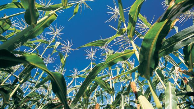 Fertilisers: Enriching the world’s soil