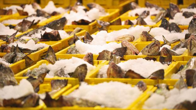 DNA barcoding: The hi-tech fight against fake food