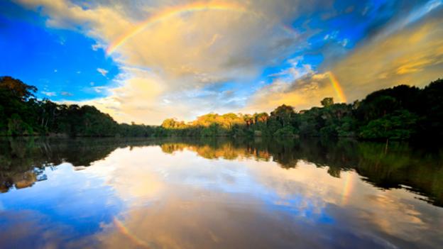 The final episode of BBC Future's Power of Nature series