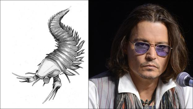 Johnny Depp and fossil