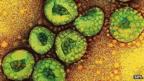 Coronavirus