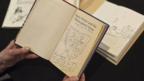 Illustrated and annotated Harry Potter book