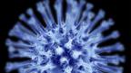 Flu virus