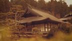 A traditional Japanese building