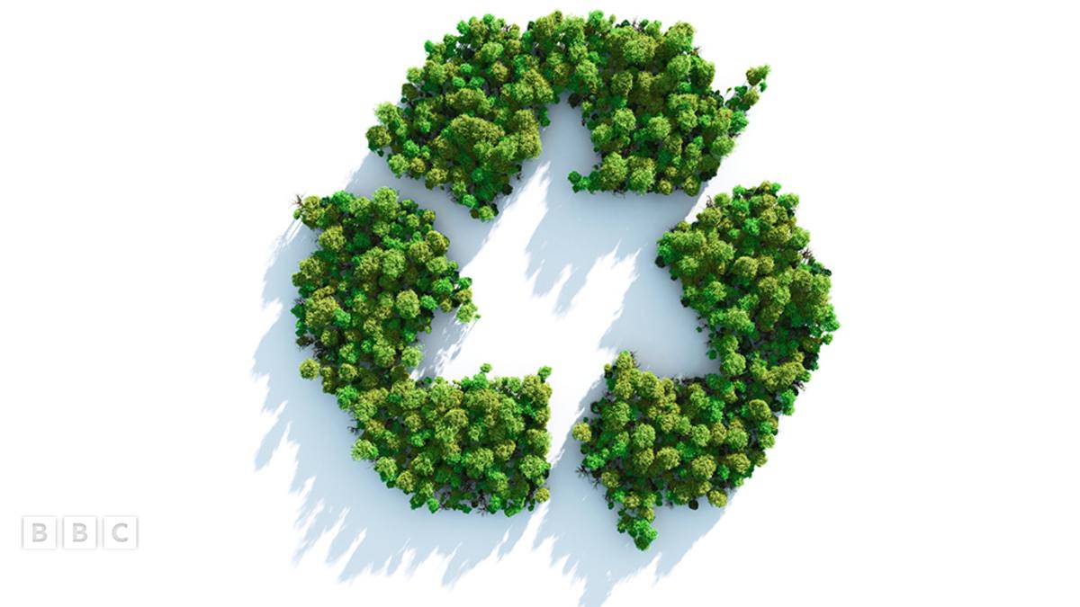 Quiz Test Your Recycling Knowledge CBBC quiz-test-your-recycling-knowledge-cbbc