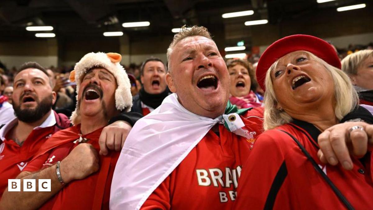 Clybiau rygbi'n wynebu colli miloedd yn sgil diffyg galw am docynnau ...