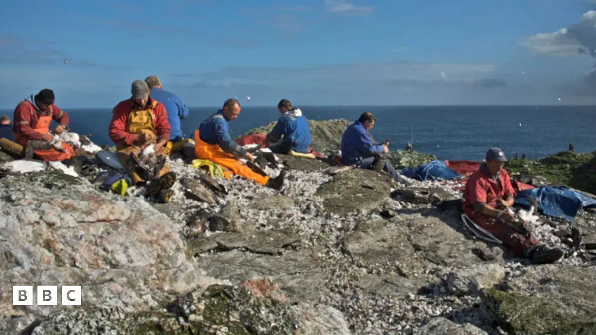 Feumar sguir de Shealg