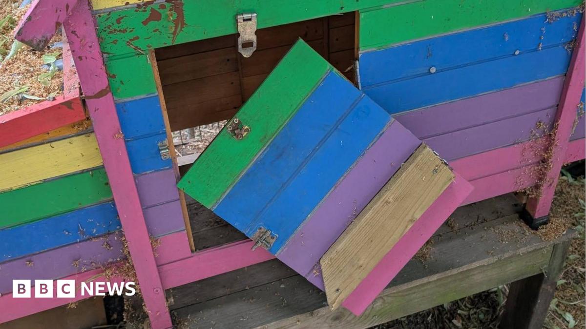 City farm vandalism sees animals lost to fox