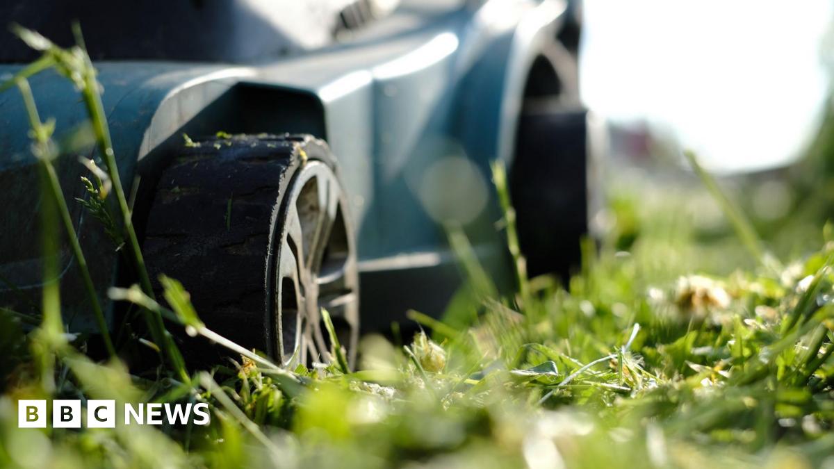 Health board lets grass grow in bid to cut costs