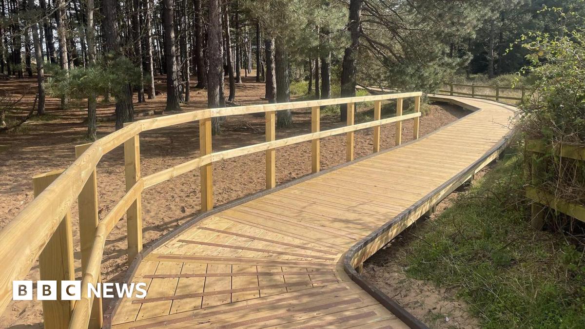 Wooden board walk with tall wooden railing running over sandy path in a pine forest. 