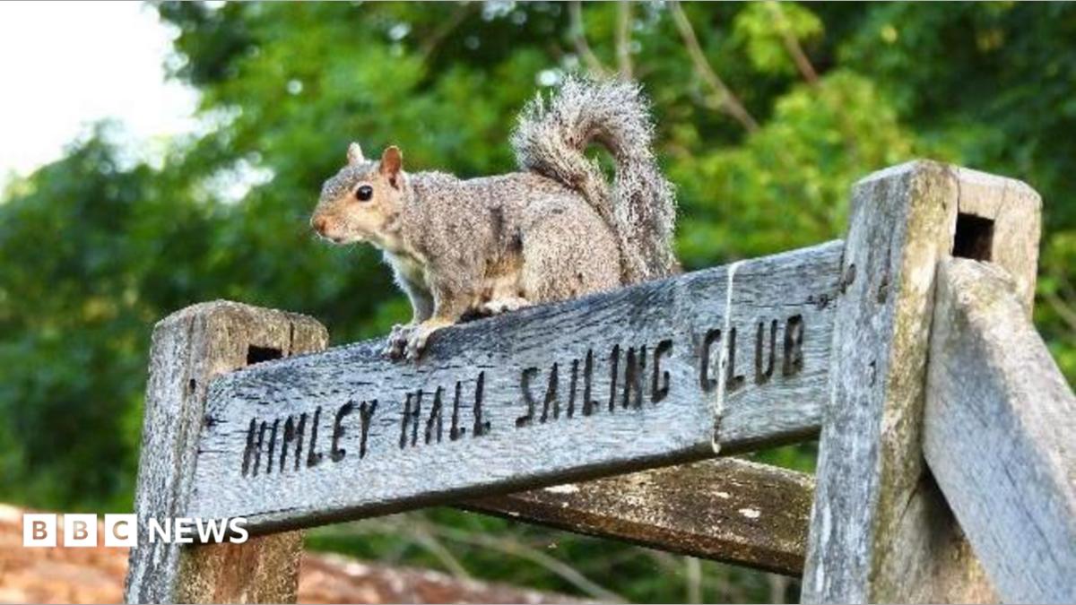 Your photos from the West Midlands: Staying cool in a heatwave