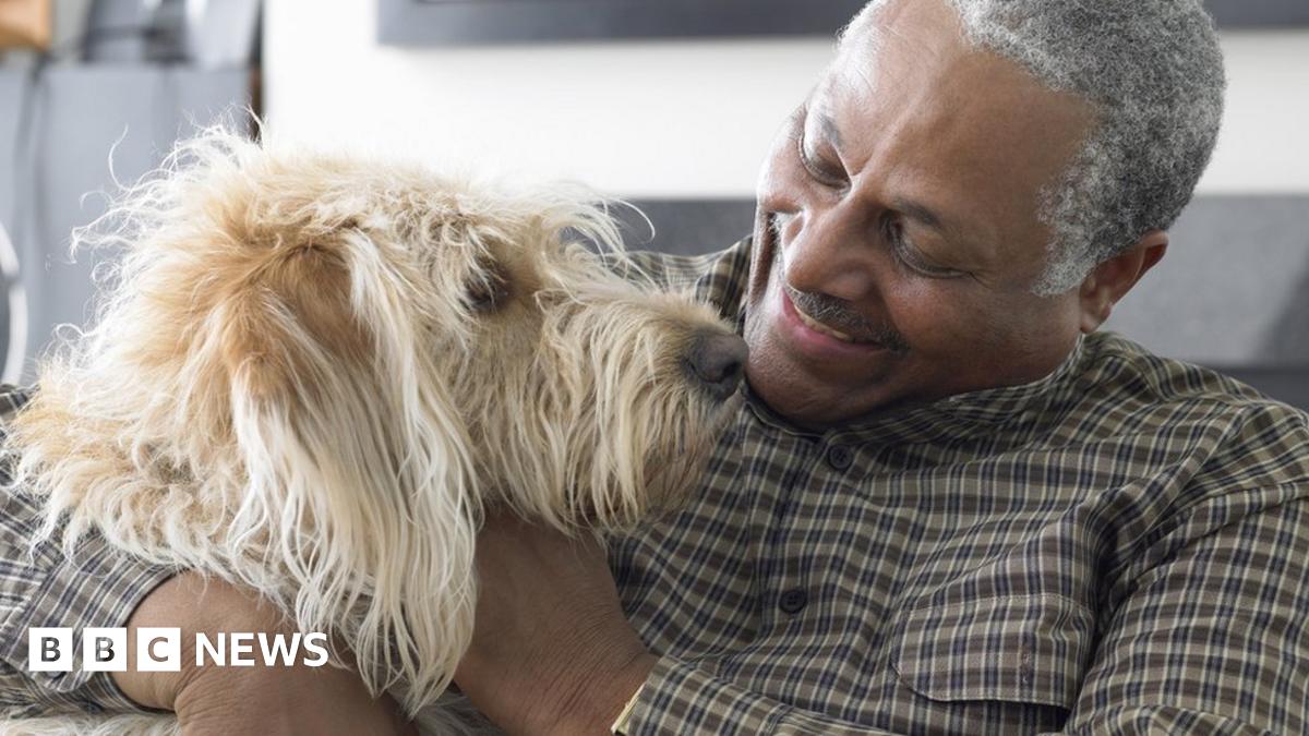 Mutations across species reveal clues to ageing - BBC News