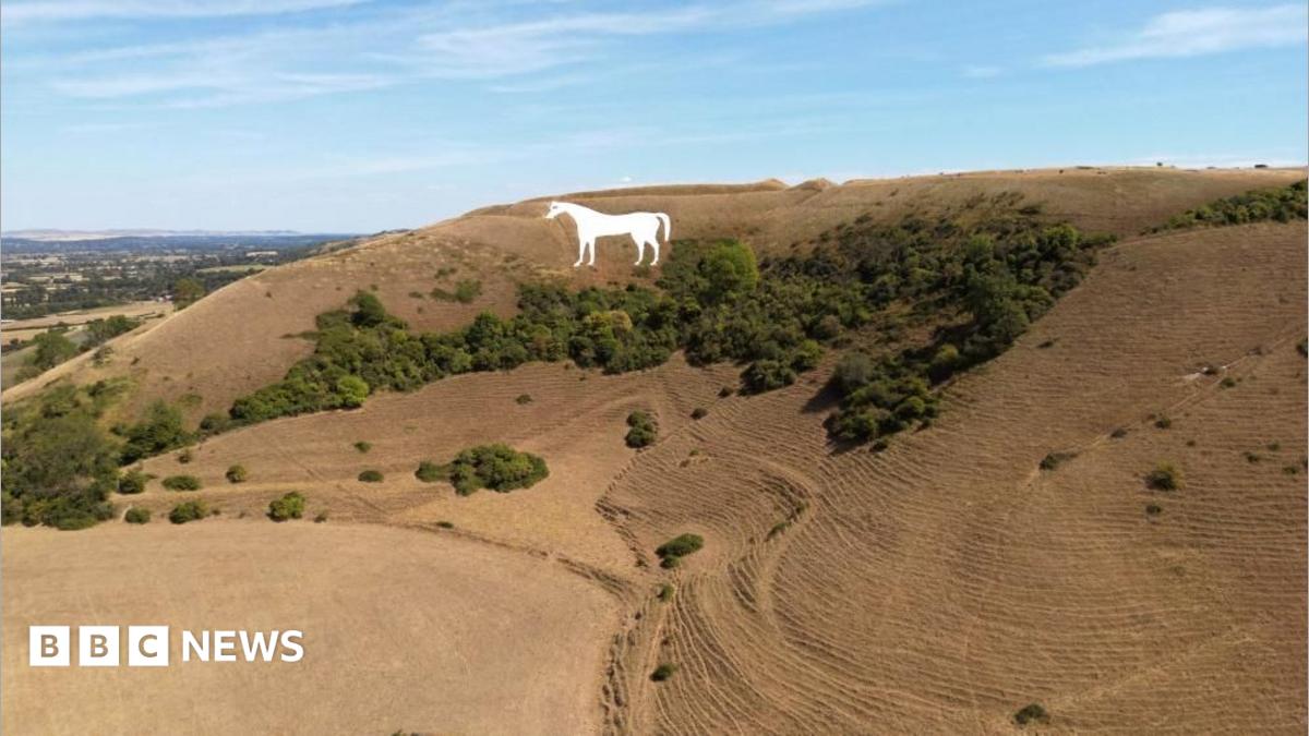 Drought expected to be declared in more parts of England