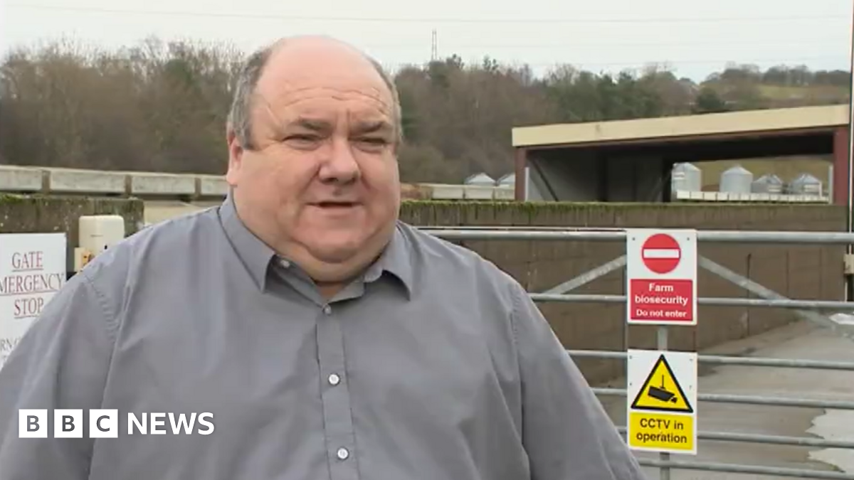 bbc.co.uk - Federica Bedendo - Cumbrian farmer fears food bill will 'never' drop to pre-war cost