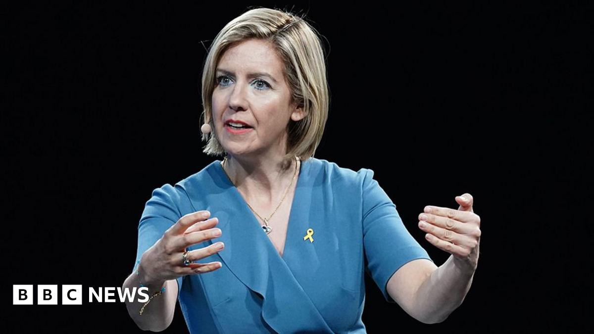 bbc.co.uk - Stuart Harratt - Springwell Solar Farm approval prompts mayor to consider judicial review