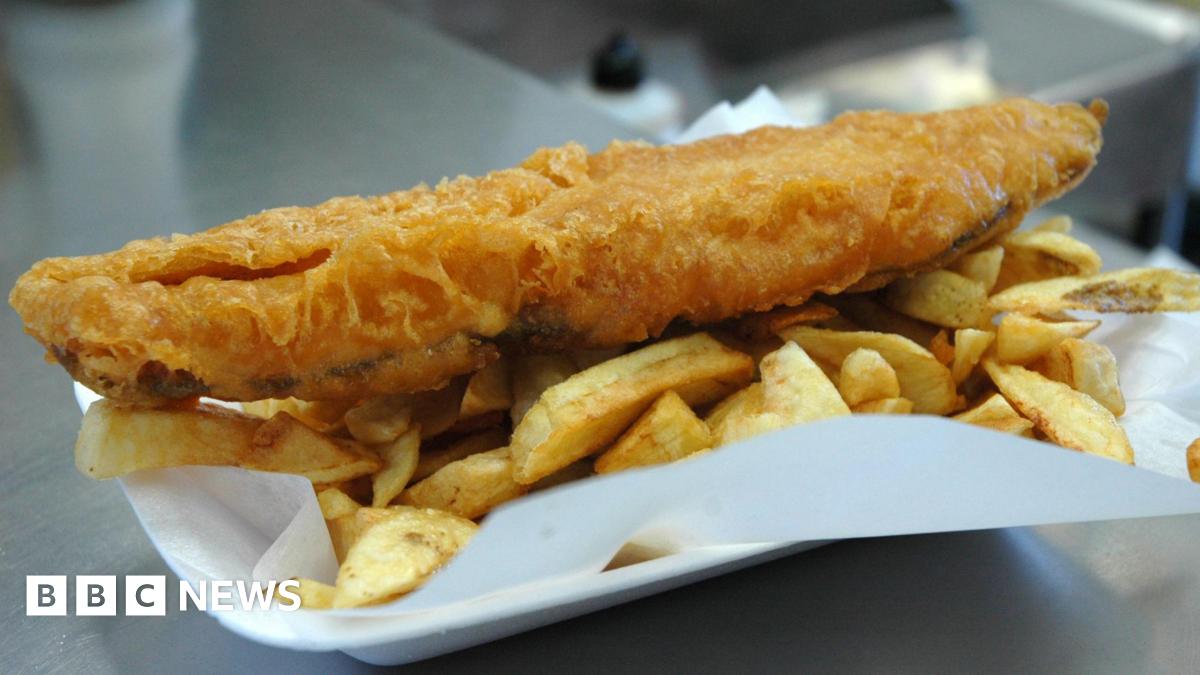 Chip Shop Favorite Atlantic Cod: Surprisingly Vital for Healthy Seabeds