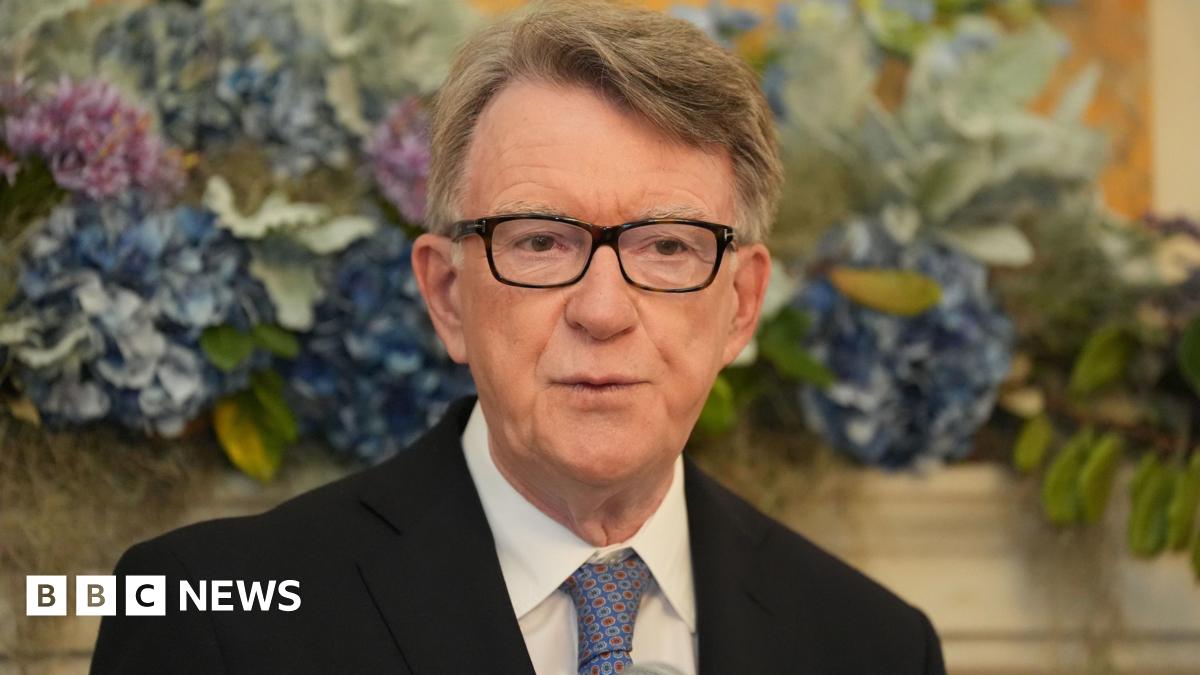 Lord Mandelson arrest - how did we get here?