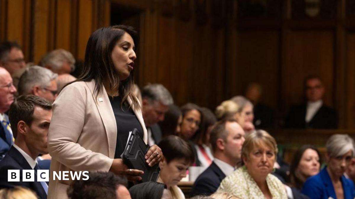A woman with long brown hair wearing a pink blazer and black top stands in the benches of parliament and addresses the house.