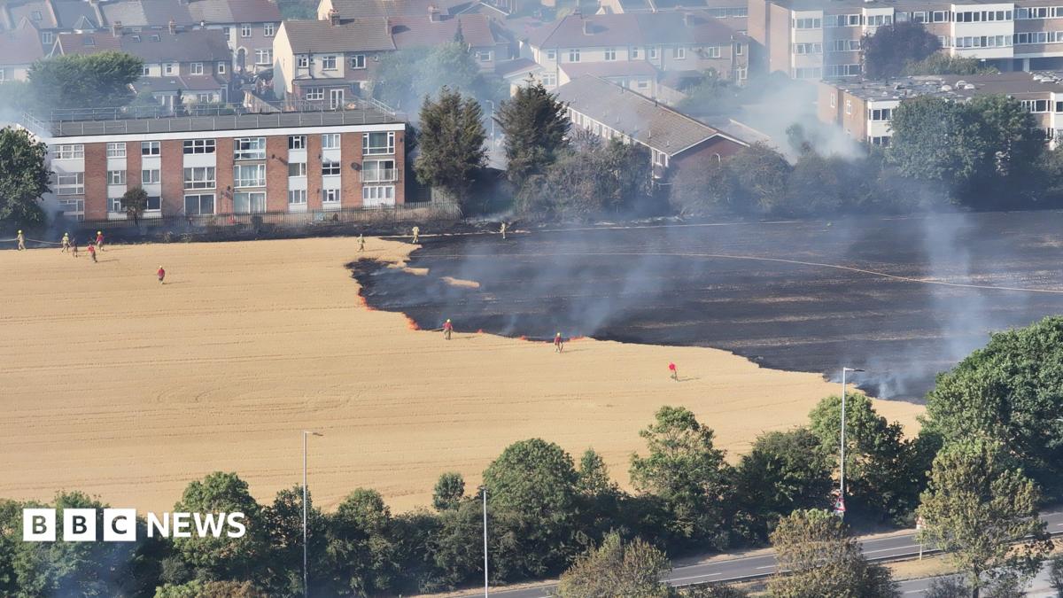 Firefighters tackle 63 London grass fires as LFB faces busiest day of 2026