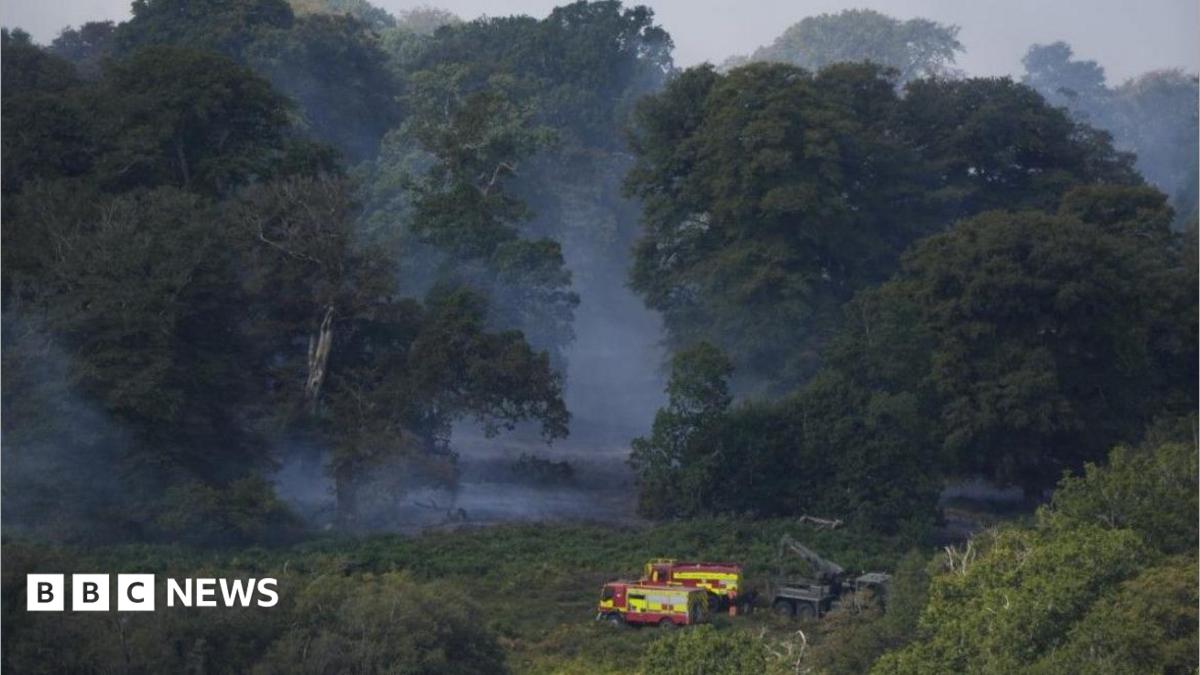 How are firefighters coping with wildfires?