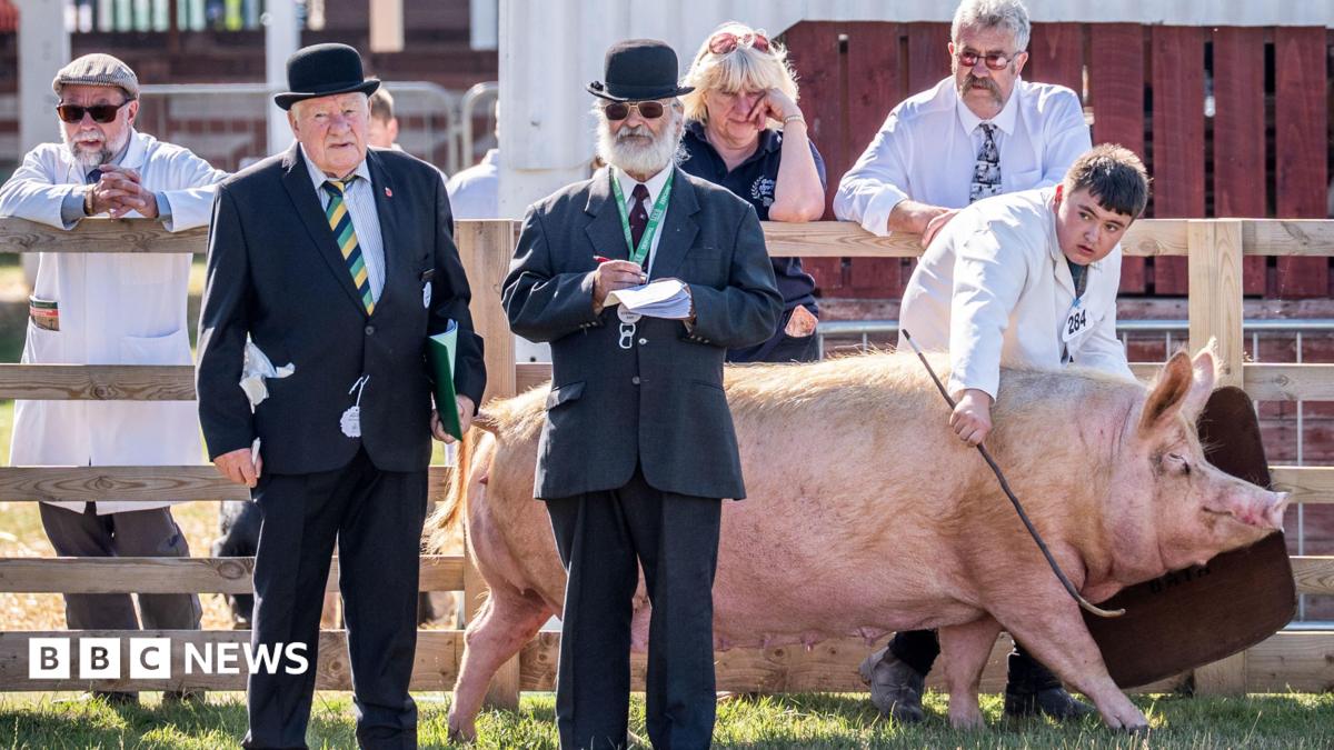 Great Yorkshire Show 2026: Here's everything you need to know