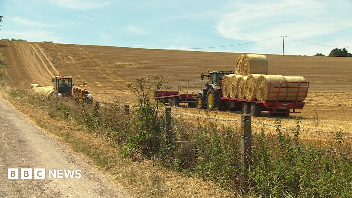 bbc.co.uk - Tristan Pascoe - Government's Farming Roadmap doesn't go far enough say farmers