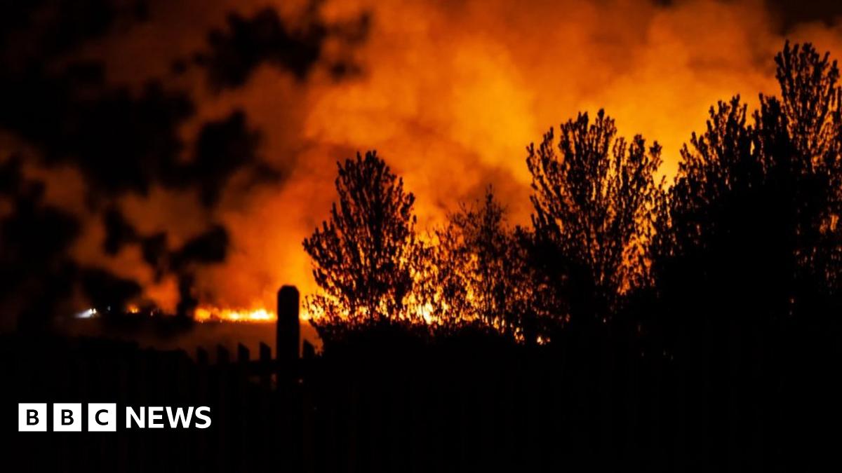 Ashdown Forest Fire breaks out in Winnie the Pooh wood BBC News