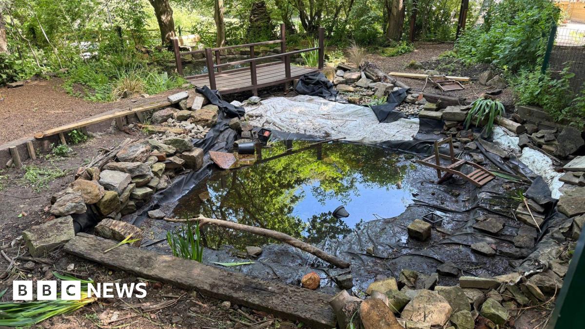 bbc.co.uk - Naj Modak - Vandals drain pond at charity-run city farm in Sheffield