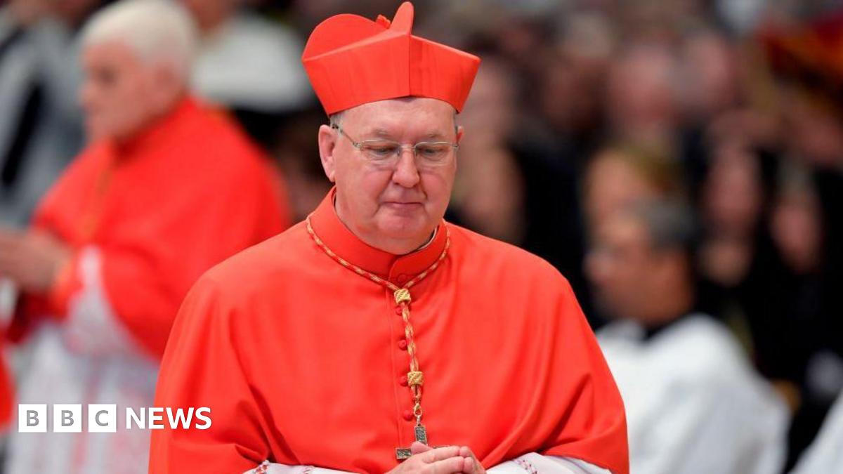 
                            Who is Cardinal Kevin Farrell, the acting head of the Vatican?