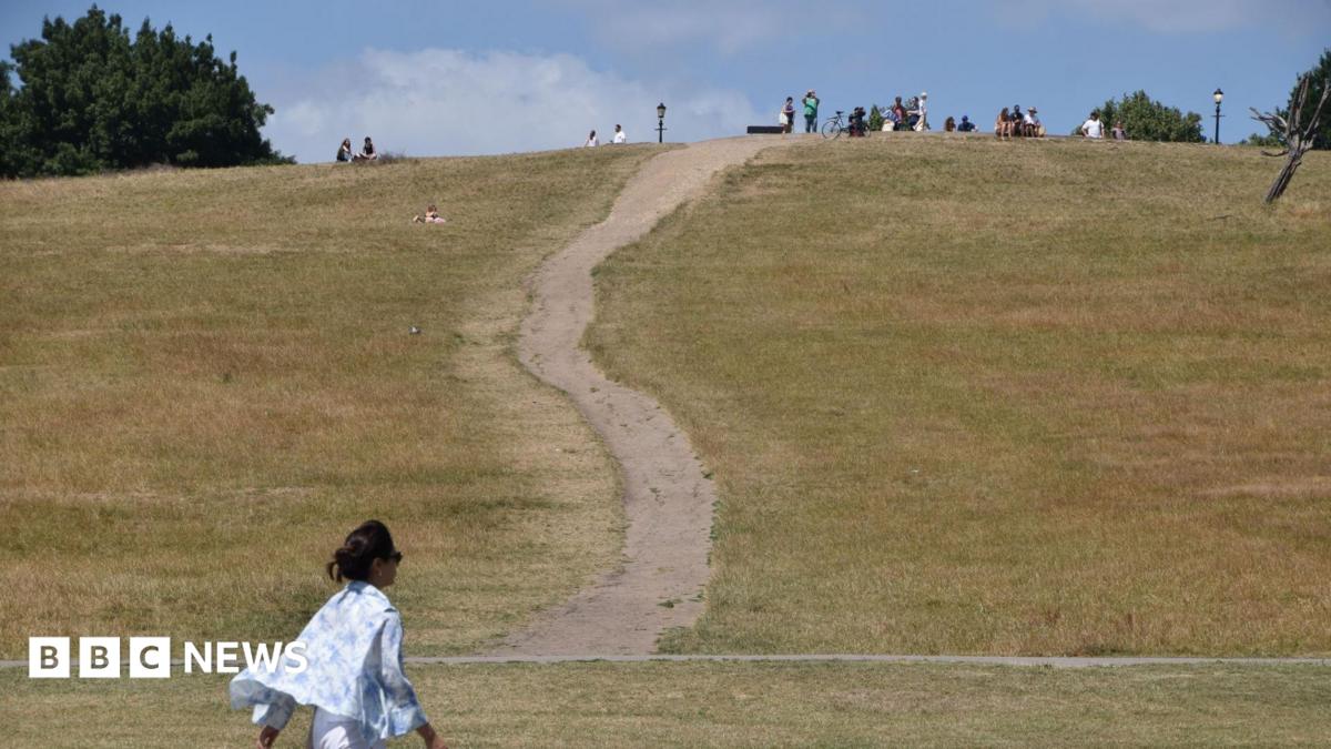 Nearly 3,000 heat-related deaths during summer heatwaves, UKHSA estimates