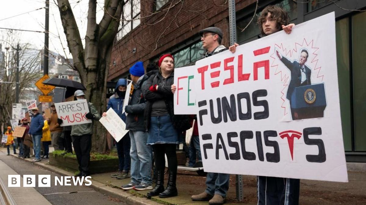 'He should not be disassembling our democracy' - Americans protest Elon Musk