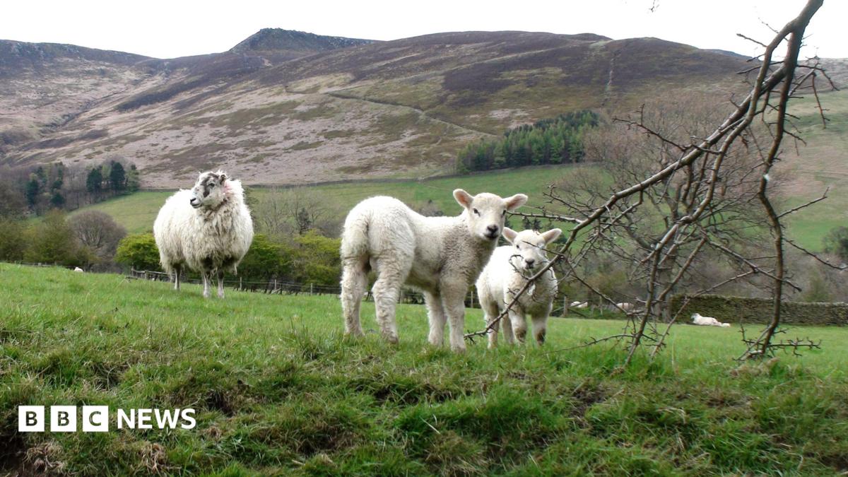 Report calls for stronger national park powers