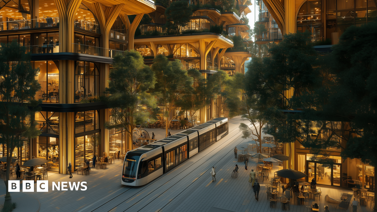 New Forest City will 'absolutely' still happen, says developer