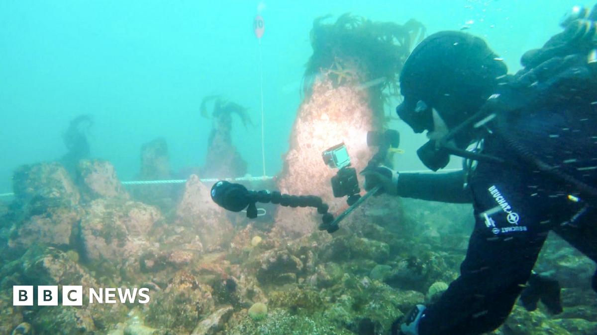 
                            Huge undersea wall dating from 5000 BC found in France