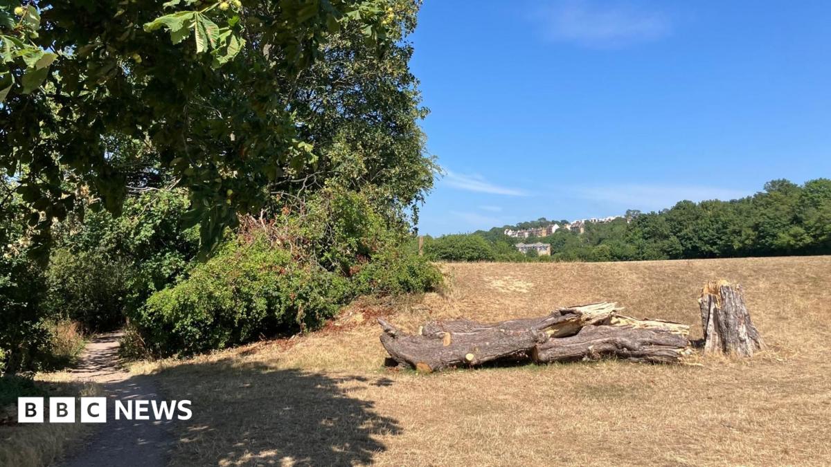Arrests as man's body found in suitcase in woods